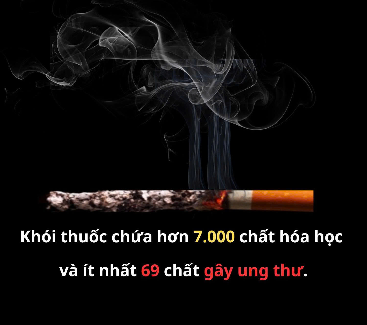 Hút thuốc lá làm tăng nguy cơ ung thư